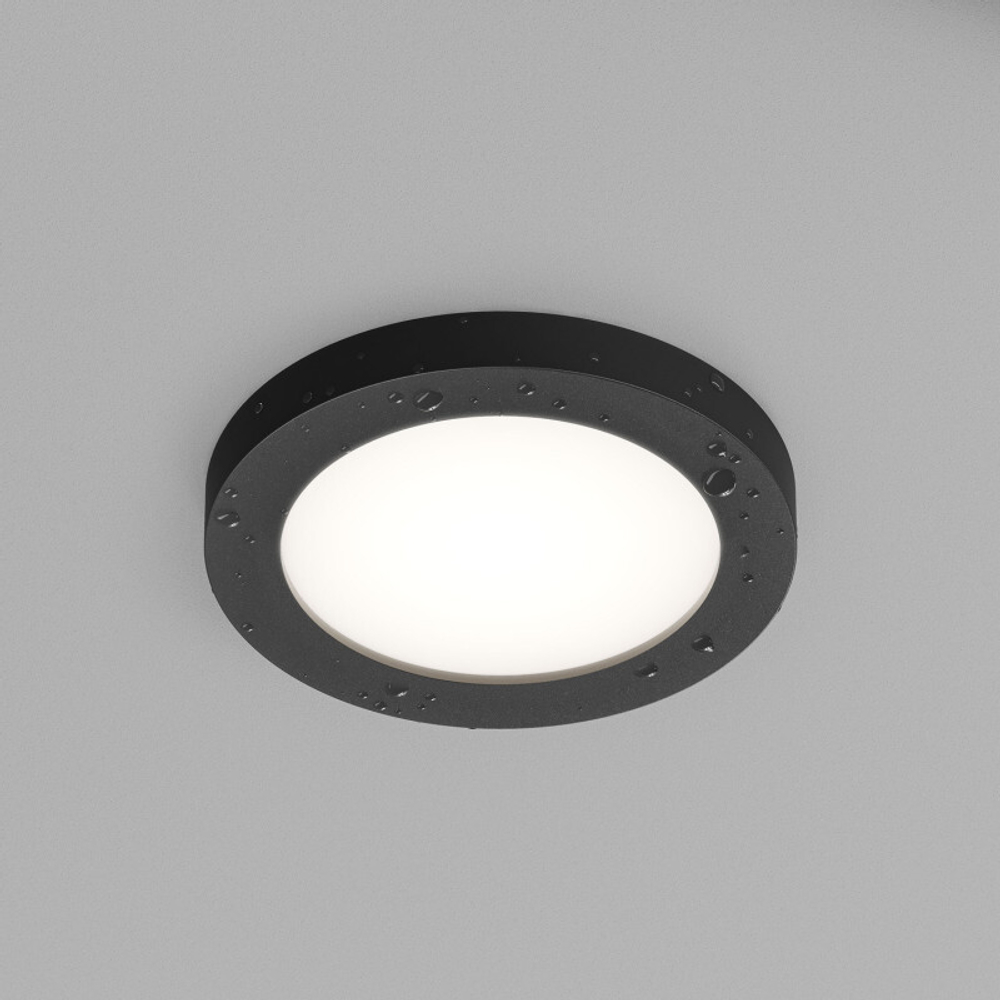 Влагозащищенный светильник Denkirs DK3012-BK