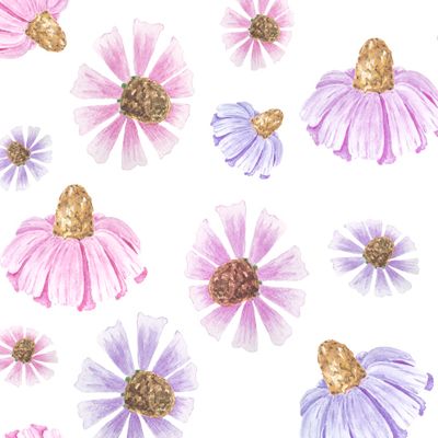 Цветок Ромашка на белом