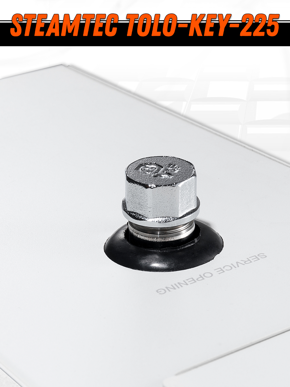 Steamtec TOLO KEY 225 - 22,5 кВт (ВЛАГОСТОЙКИЙ модуль управления), парогенератор для хамама и турецкой бани