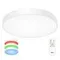 CL724105G0 Купер Белый Св-к Потол. с RGB