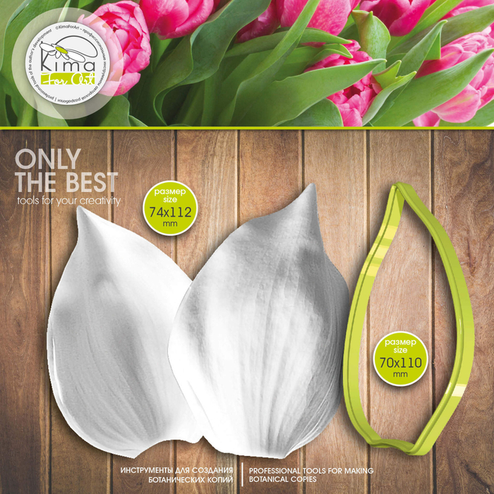 Тюльпан лист средний широкий