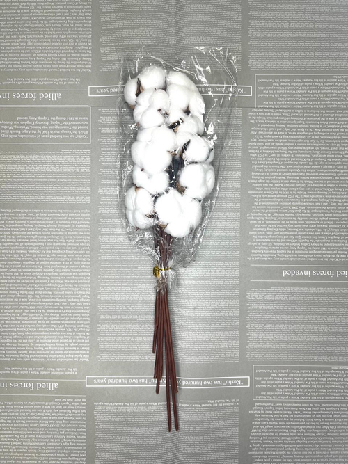 Хлопок натуральный, ветка