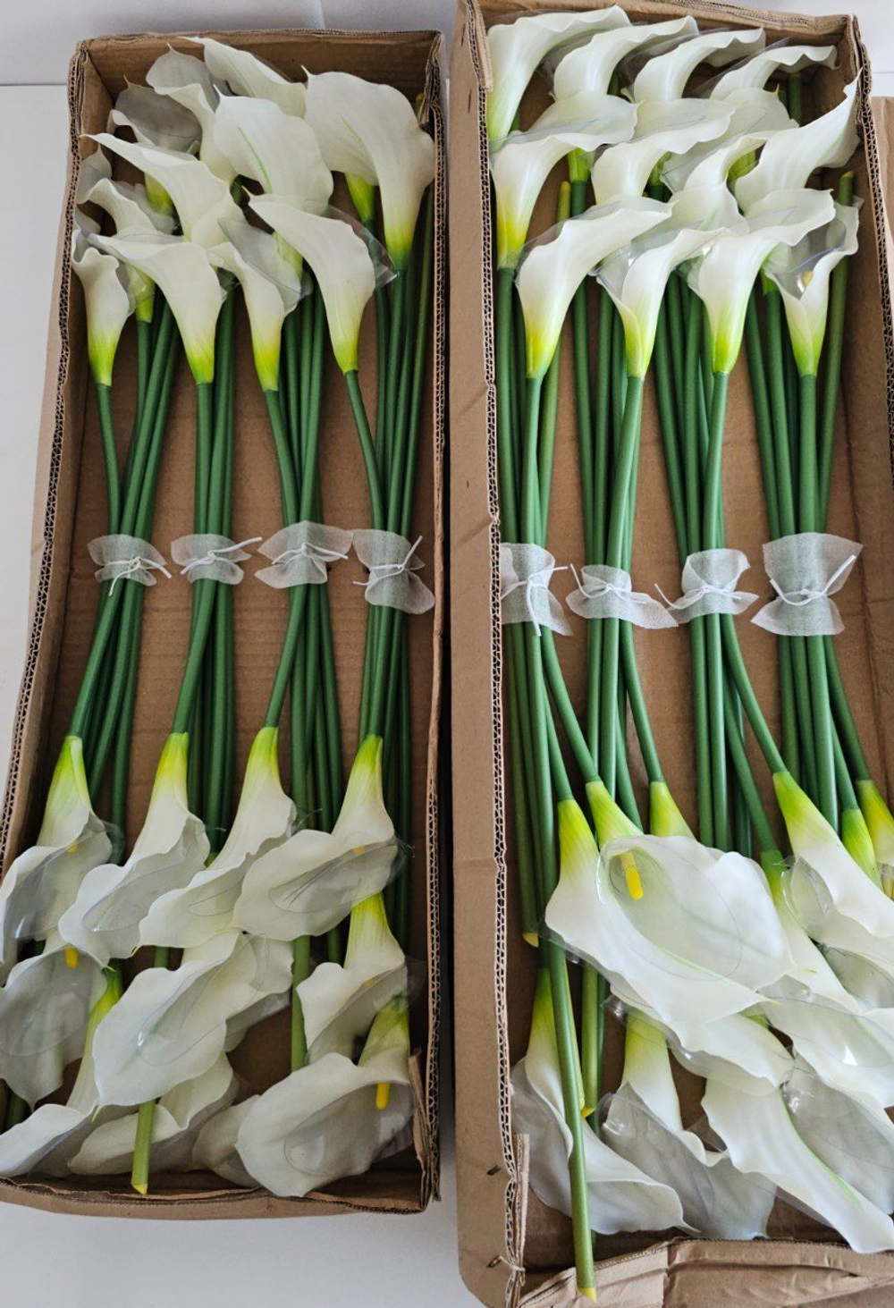 Калла одиночная / Арт 2027