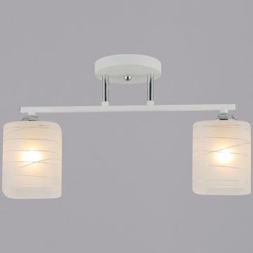 26570-0.3-02 светильник потолочный