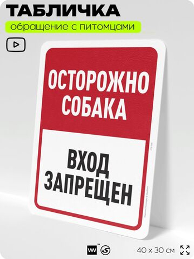 Табличка "Осторожно собака, вход запрещен" на дверь и забор, для двора, дома, подъезда, 40х30 см, Silver Plane x Айдентика Технолоджи