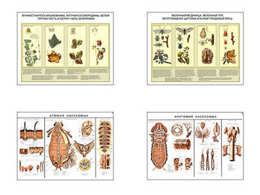 Плакаты ПРОФТЕХ &quot;Вредители и болезни ягодных культур и меры борьбы с ними&quot; (4 пл, винил, 70х100)