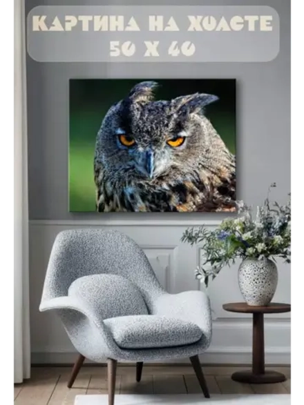 Картина на стену 40 X 50 Сова
