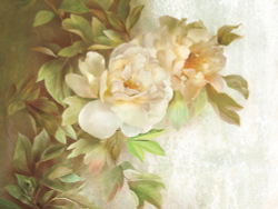 Коллекция Flower Dreams