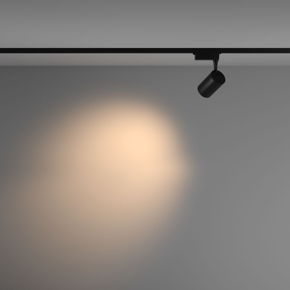 Трековый однофазный светодиодный светильник Maytoni Unity Vuoro TR003-1-10W3K-M-B