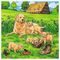 Puzzle Cats &amp; Dogs