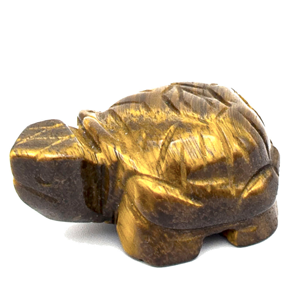 Черепаха тигровый глаз асс.