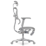 Кресло FALTO Ergohuman Luxury 2 с подножкой ( серый каркас /сетка светлаяT-168-B2 Natural)
