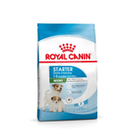 Royal Canin Mini Starter Корм сухой для собак мелких пород в конце беременности в период лактации для щенков в период отъема до 2-х месяцев 3 кг
