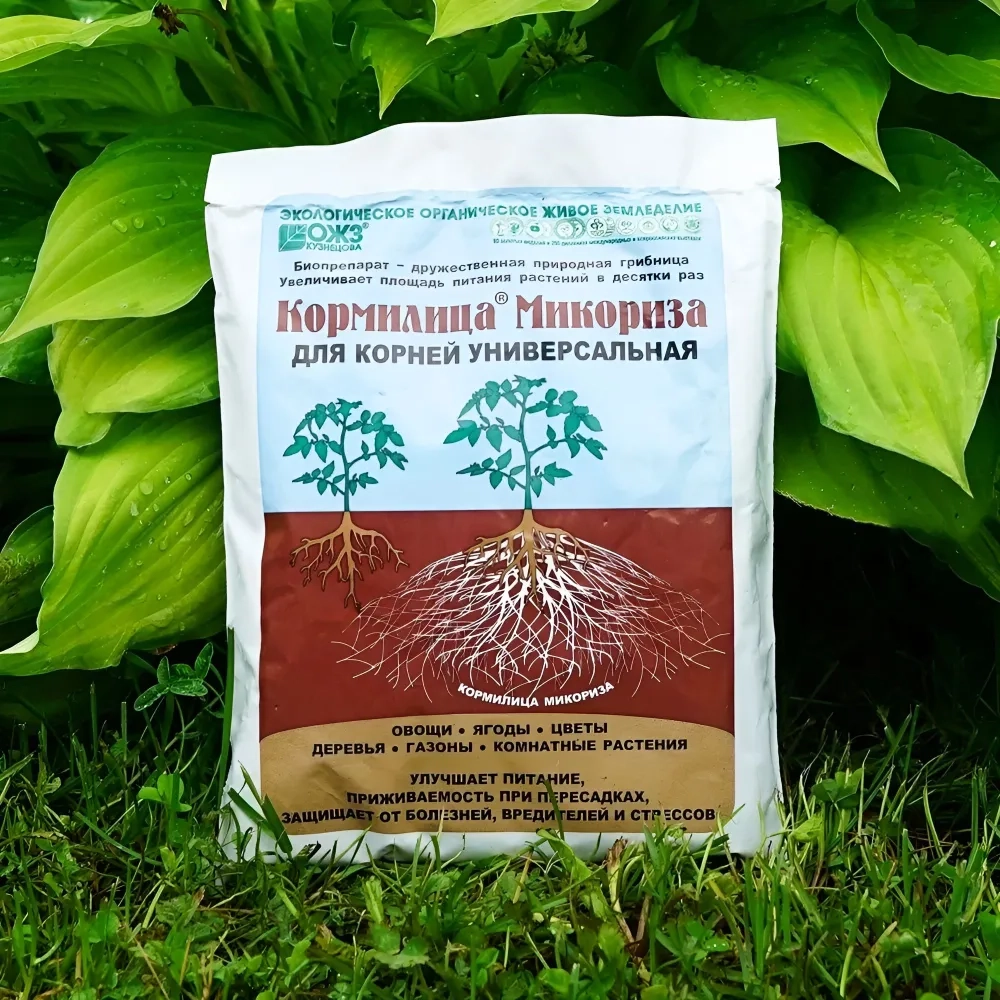 Микориза Кормилица 30 г 1 шт корнеобразователь для всех растений