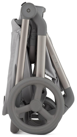 Детская коляска Anex Flo 2 в 1 Frossy