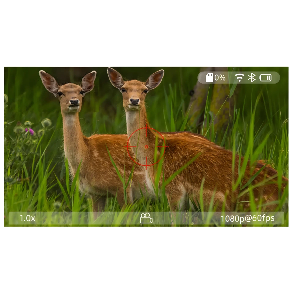 Прицел цифровой Veber DigitalHunt R44X6-48 LRF ночной с лазерным дальномером - вид через прицел на двух оленей