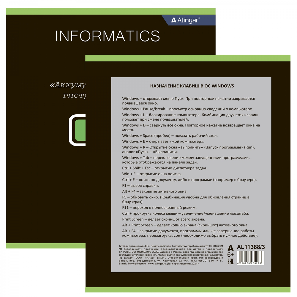 Тетрадь предметная "Информатика" А5 48л., клетка, со справочным материалом, скрепка, мелованный картон (стандарт), блок офсет, Alingar "Loading"
