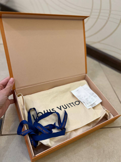 Сумка Louis Vuitton