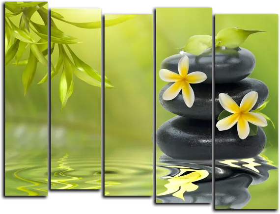 Модульная картина "Цветы на камнях"