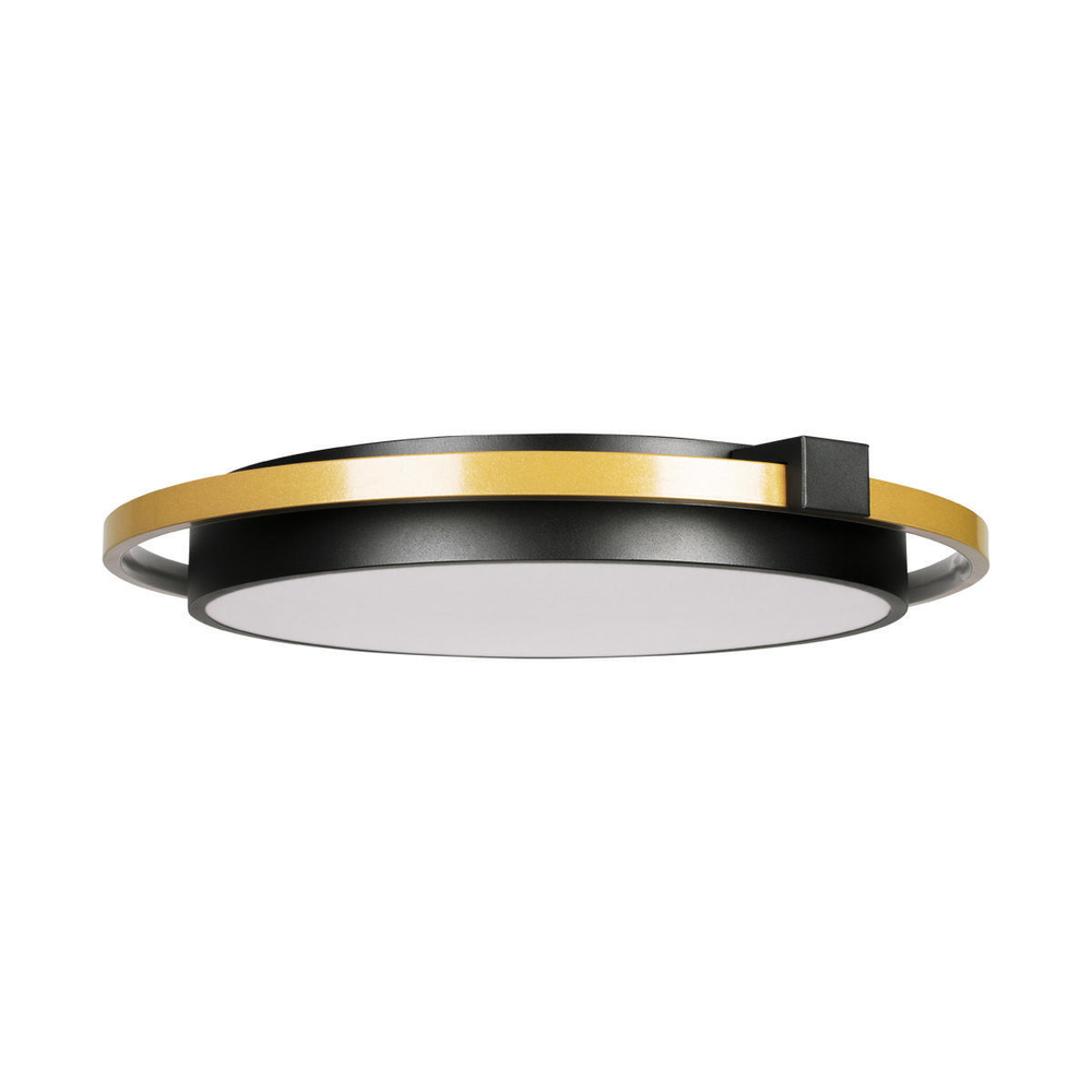 10170 Потолочный светильник LOFT IT Mike