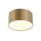 Потолочный светильник Зон / Zon 12 Вт 3000 К 120° Technical c032cl-12w3k-rd-mg