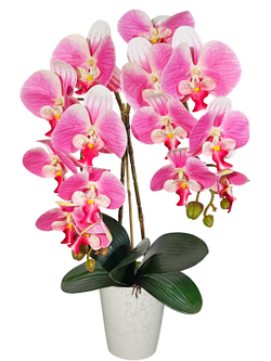 Искусственная Орхидея Фаленопсис 2 ветки бело-розовая латекс 55см в кашпо