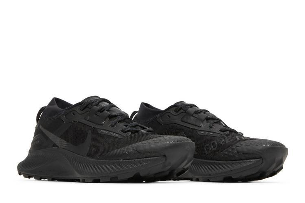 Кроссовки Nike Pegasus Trail 3 Gtx (Женская размерная сетка)
