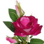 Цветочная композиция «Розовый восторг» 22см в горшке, цвет лиловый