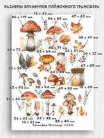 Трансфер для декупажа переводной рисунок для поверхностей мухомор 014