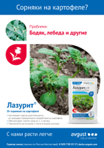 Лaзуpит защита от сорняков, 10 гр. AVGUST/Август