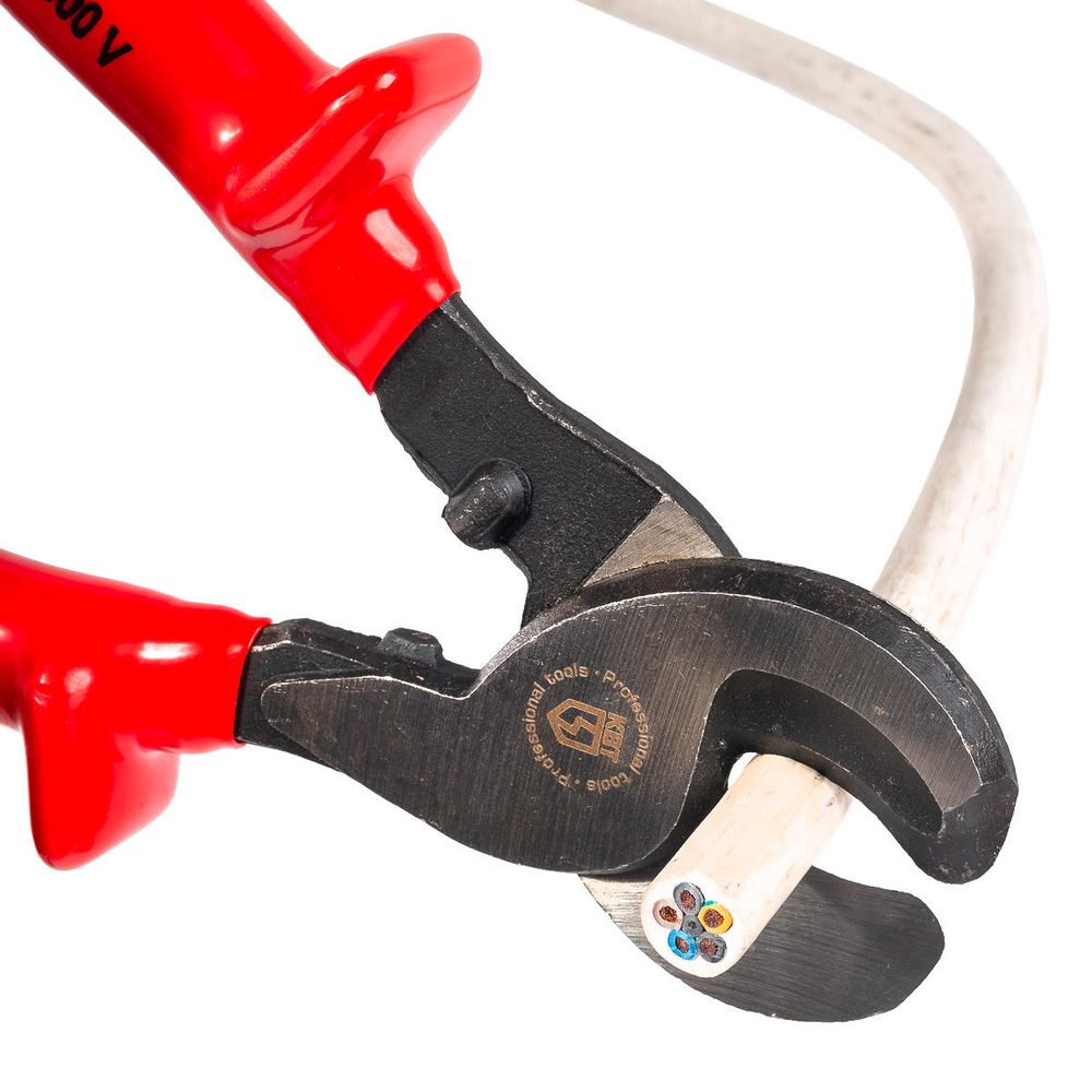 nki-16_use_320646870.jpg