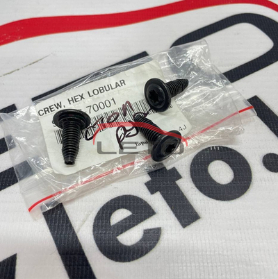 Винт 90166-70001 9016670001