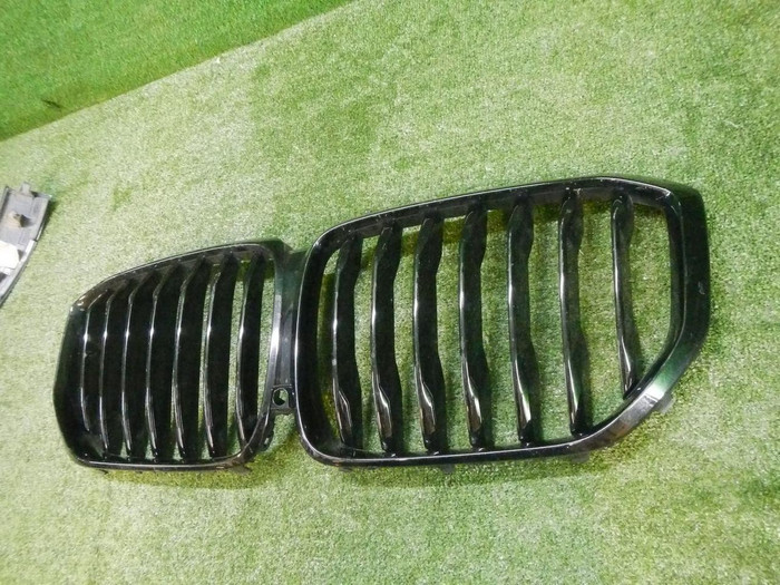 Решетка радиатора BMW X5 G05 (2018-2023)