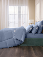 Одеяло зимнее Вега Евро Макси 220х240 Голубое