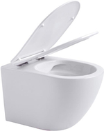 Унитаз подвесной Aquanet Rimless Cetus W Short LX-1900