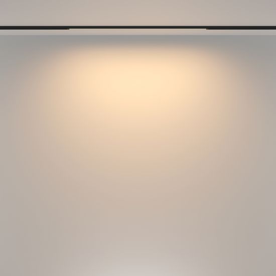 Трековый светильник Technical TR173-1-16WTW-B