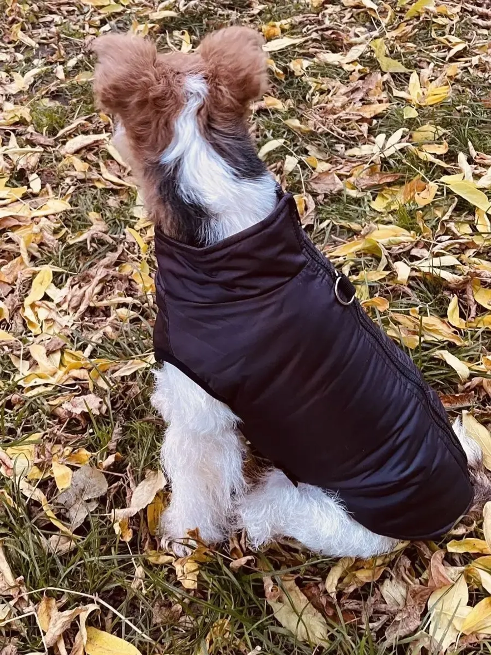 Жилет для собак мелких средних крупных пород