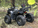 Квадроцикл PROMAX 320 DOMINATOR (2025)