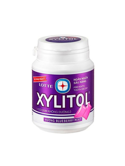 Жевательная резинка Lotte Xylitol Mint в ассортименте в банках