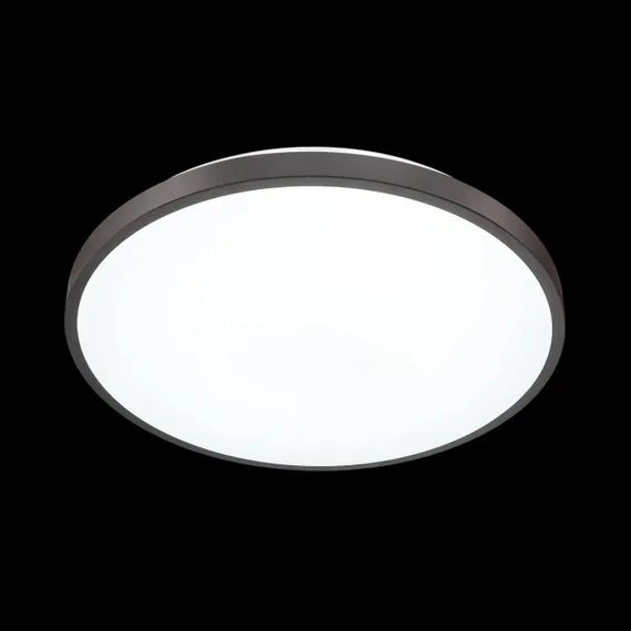 3012/DL TAN SN 206 Светильник пластик/черный LED 48Вт 3000-6500K D380 IP43 пульт ДУ/ LampSmart SMALLI