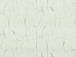 R 23307 Обои Fipar (Felicita) (1*4) 10,05х1,06 винил на флизелине