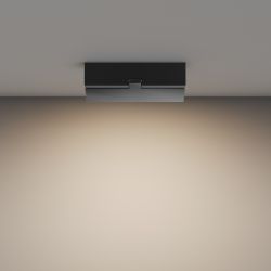 Потолочный светильник светодиодный Maytoni   C133CL-12W3K-B