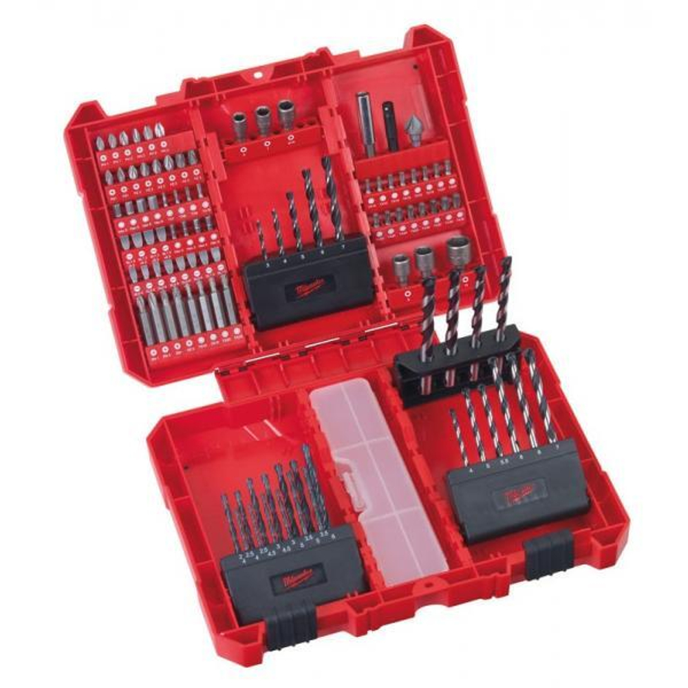 Набор бит в кейсе (100 шт)