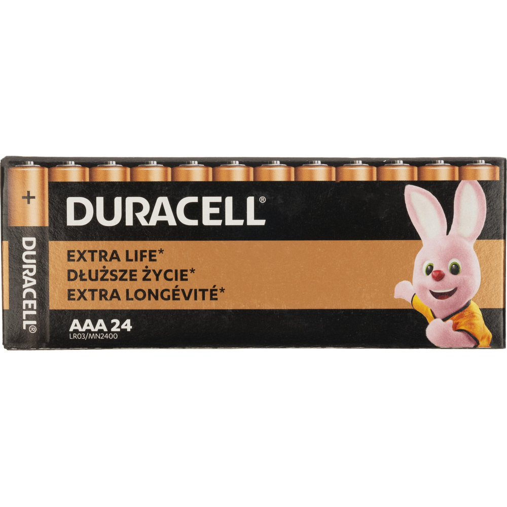 Батарейка DURACELL Basic MN2400 LR03 AAA BL24 24шт/уп