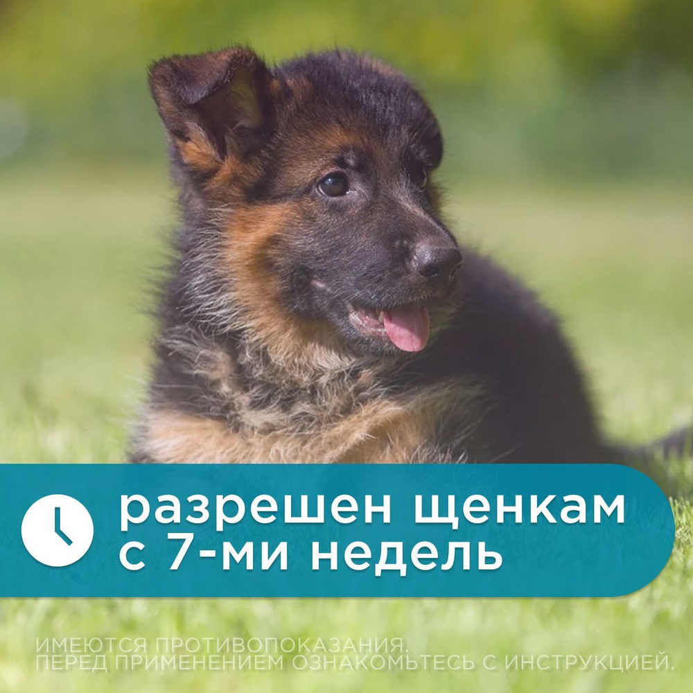 Капли на холку от блох, клещей и гельминтов для щенков и собак менее 10 кг Гельминтал С SPOT-ON (Neoterica), 2 пипетки Моксидектин/Празиквантел