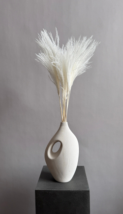 Мискантус белый