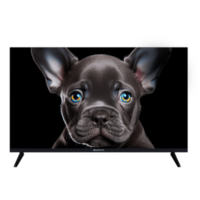 Телевизор Topdevice 32" Smart SBER (TDTV32CS08H_BK)