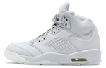 Кроссовки Jordan Air Jordan 5 Retro Pure Platinum