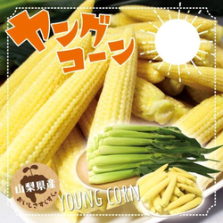 Японская Голозёрная Мини Кукуруза Baby Corn - ヤングコーン