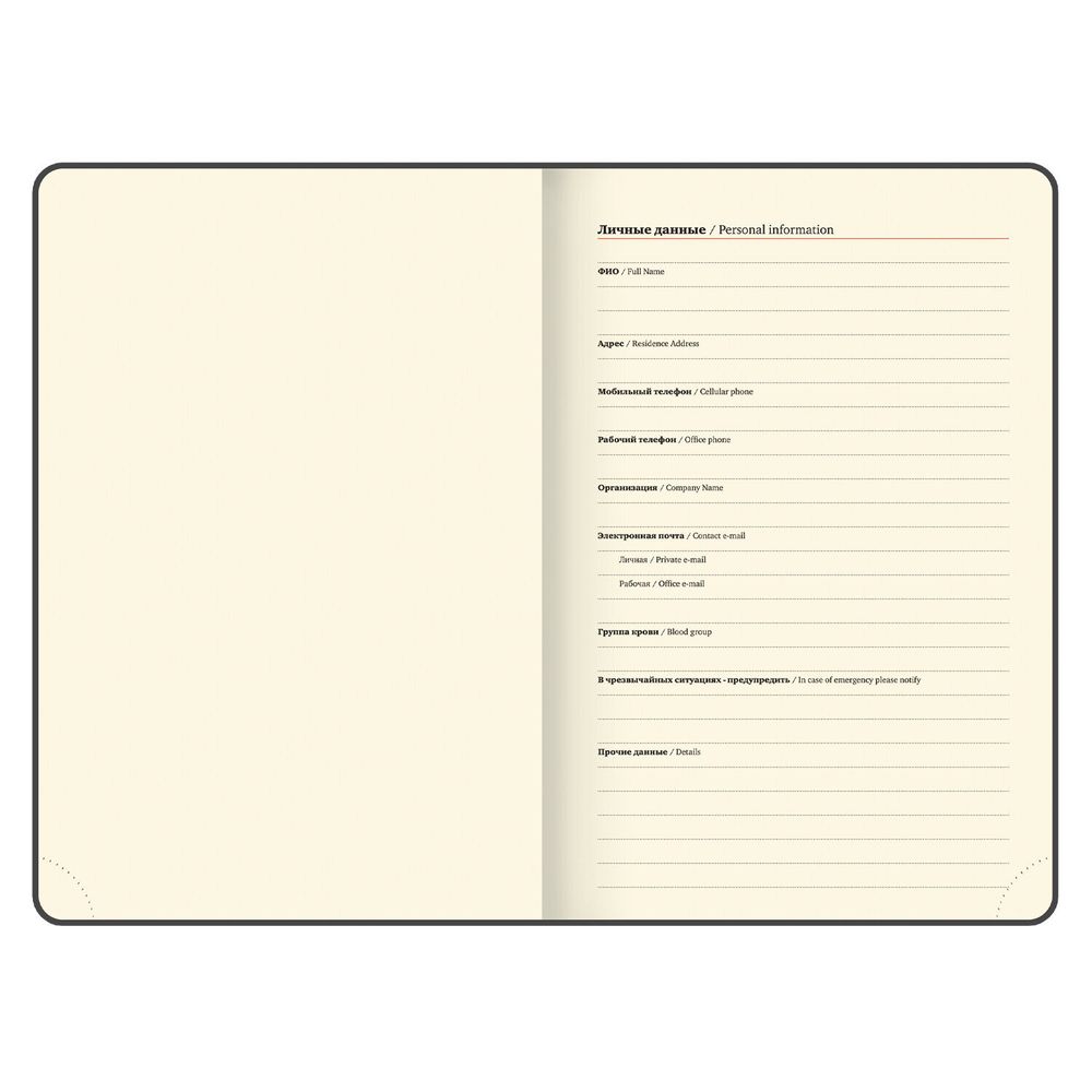 Ежедневник датированный А5 BRAUBERG "Note" (117520) 6